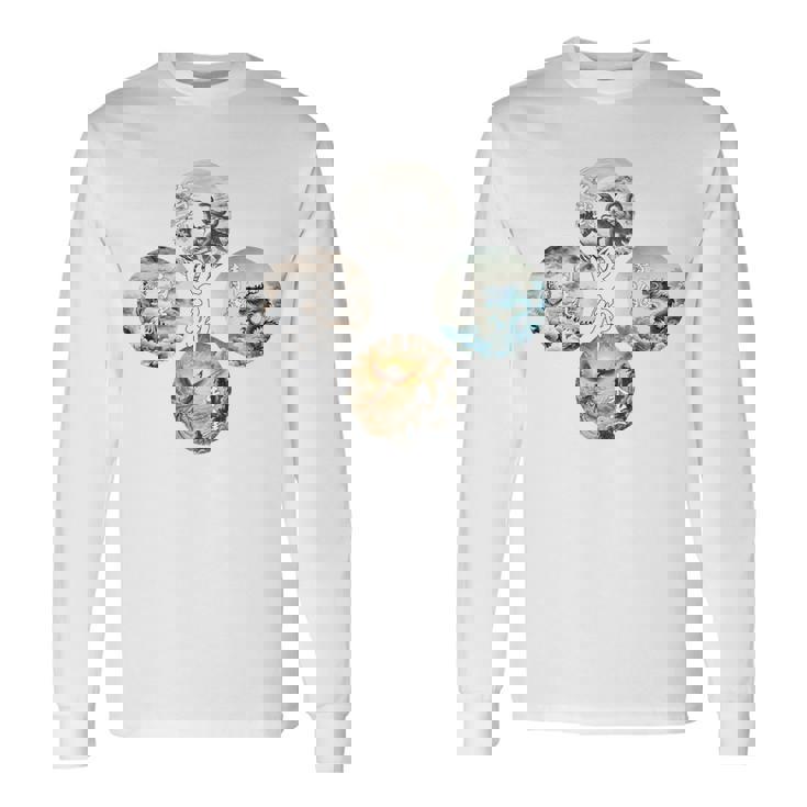 四神 青龍 白虎 朱雀 玄武 四象 東西南北 バックプリント 長袖Tシャツ