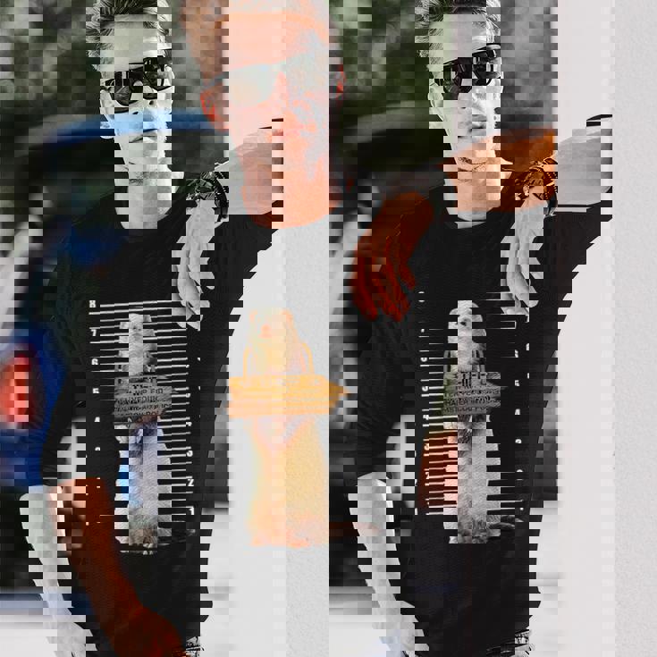 かわいいフェレット泥棒 面白い動物 長袖Tシャツ 彼への贈り物