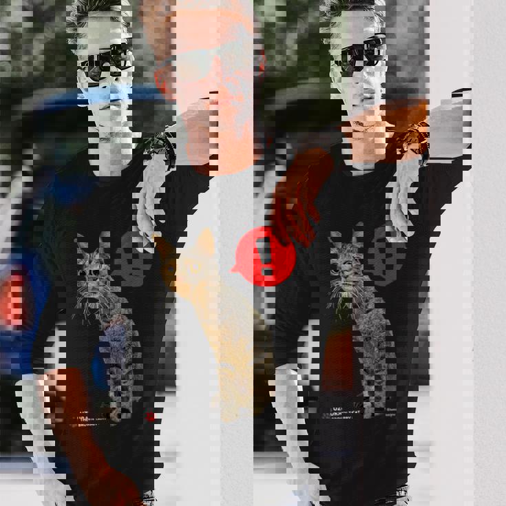 なにかをみつけたねこ、うずら 猫 かわいい キジトラ猫 Cat 長袖Tシャツ 彼への贈り物