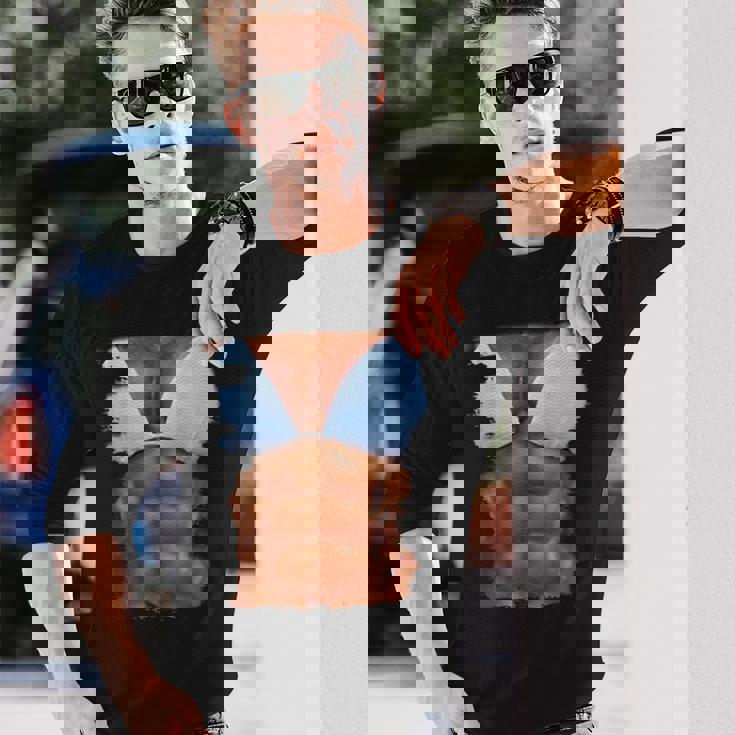 フェイク アブス ファニービキニ ボディマッスル 6パック 3D 長袖Tシャツ 彼への贈り物