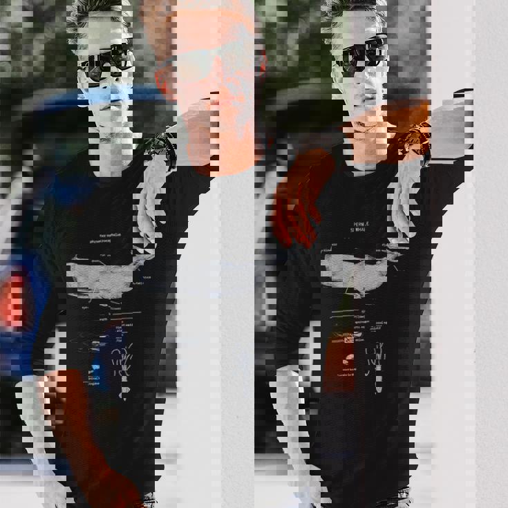 マッコウクジラの解剖学 海洋生物学者 長袖Tシャツ 彼への贈り物