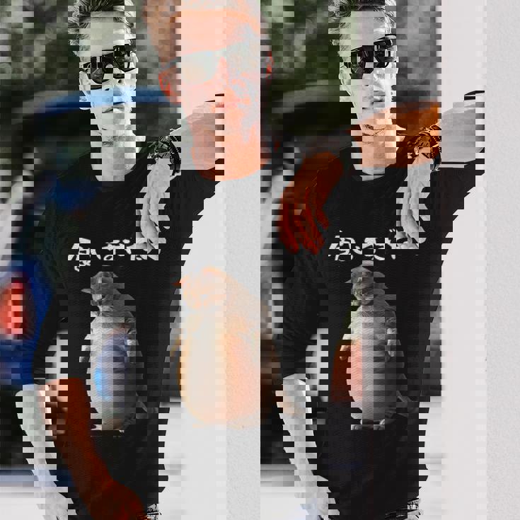 面白いtシャツ 猫 ネコ メンズ 猫好き グッズ おもしろ 面白い 服 ネタ にゃんこ 猫の下僕 ダイエット 長袖Tシャツ 彼への贈り物