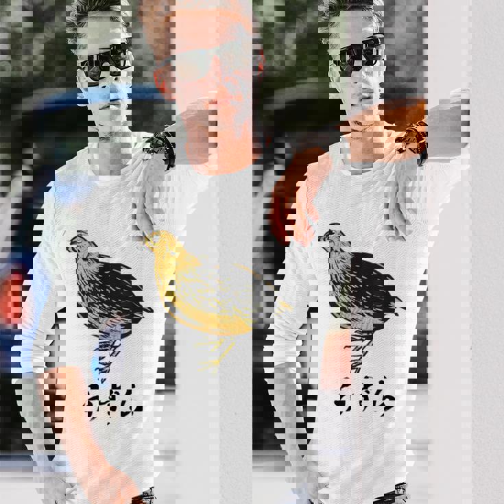 うずら 面白いtシャツ かわいい 鳥 筆文字 メンズ おもしろ 面白い 服 オリジナル グッズ 文字tシャツ ネタ 長袖Tシャツ 彼への贈り物