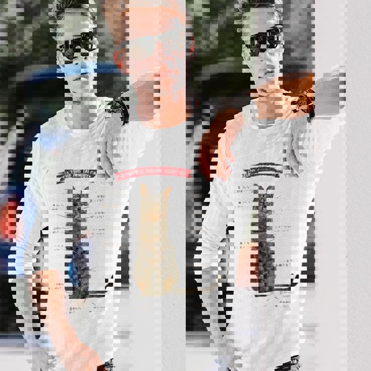 キジトラねこ、うずら 猫 キジトラ猫 鶉 かわいい Cat （ホワイト） 長袖Tシャツ 彼への贈り物