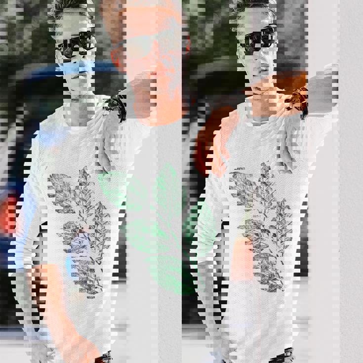 ブナの葉 植物 自然と森林 木のグラフィックス 長袖Tシャツ 彼への贈り物