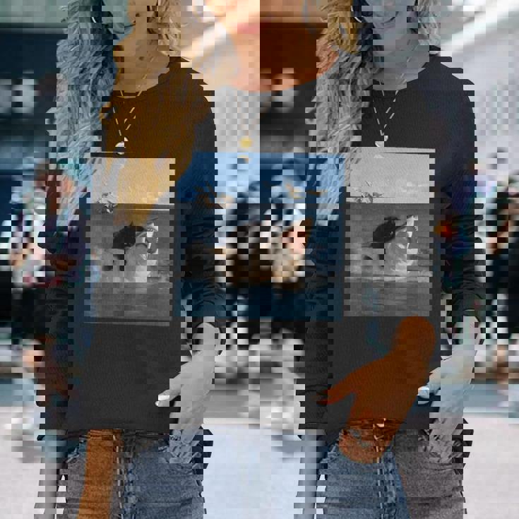 猫を噛むサメの面白いアートと猫好きの面白い猫とサメ。 長袖Tシャツ 彼女への贈り物