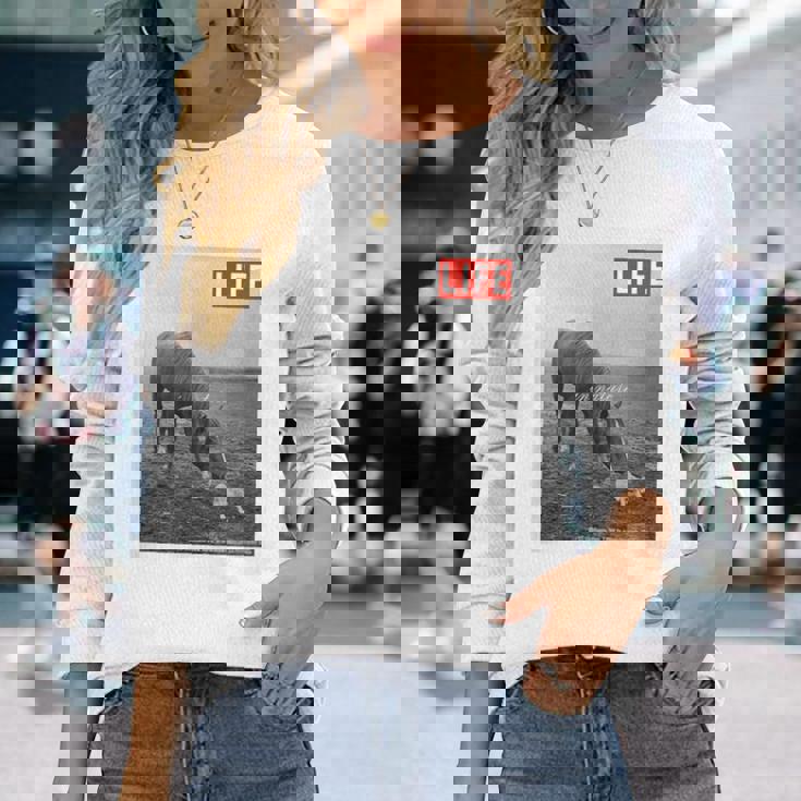 Life Picture Collection 馬と猫（1） 長袖Tシャツ 彼女への贈り物