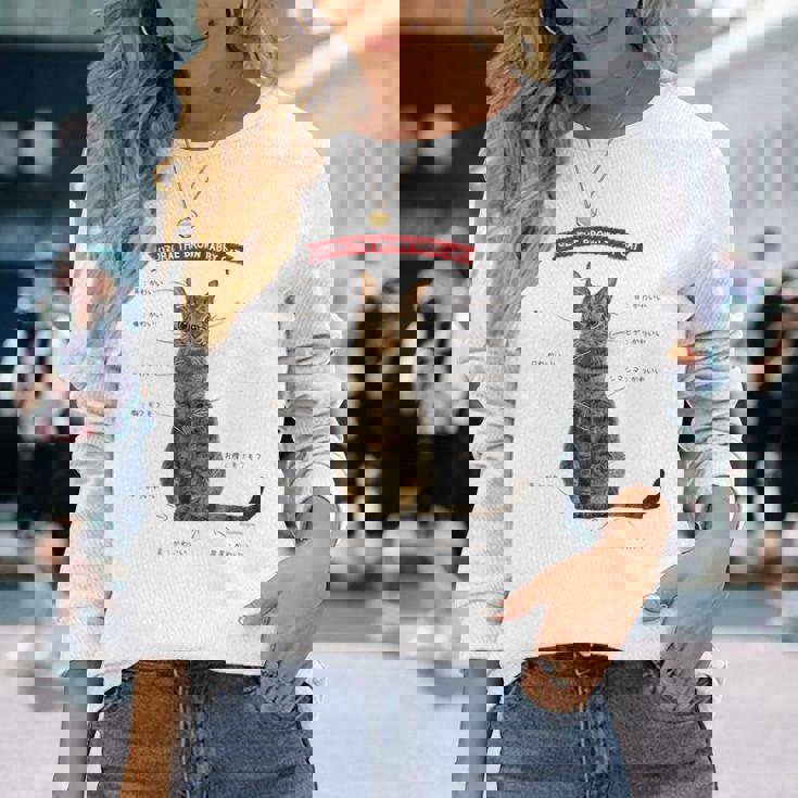 キジトラねこ、うずら 猫 キジトラ猫 鶉 かわいい Cat （ホワイト） 長袖Tシャツ 彼女への贈り物