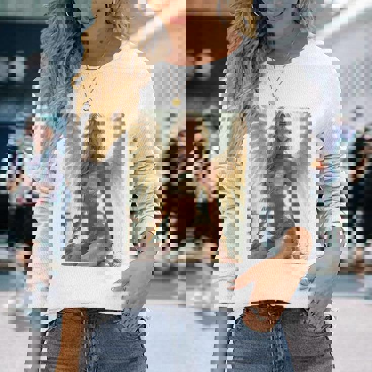 セクシーガールグラフィックtシャツ セクシーシッティングエンジェルピンナップバックプリント 長袖Tシャツ 彼女への贈り物