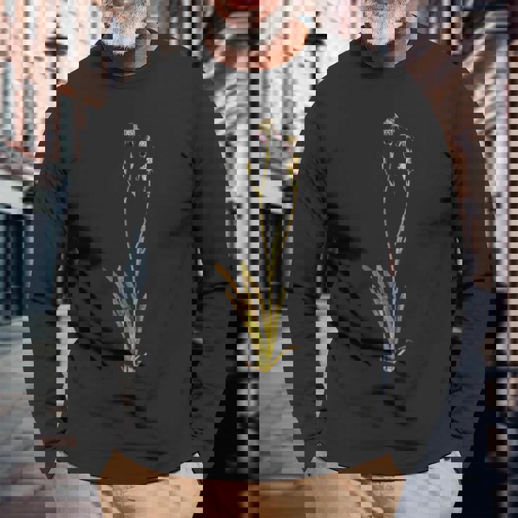 Albrecht Durerによるアイリス1503 長袖Tシャツ 高齢者への贈り物