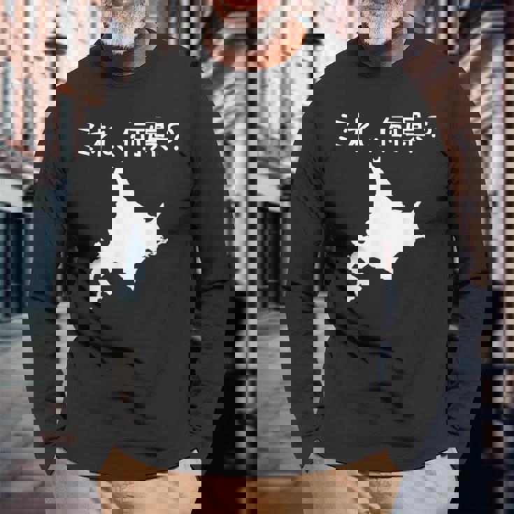 【これ、何県？】北海道 都道府県 クイズ 小学生 遊び心 パズル 地図 シルエット 地理 先生 おもしろ 面白い ネタ 長袖Tシャツ 高齢者への贈り物