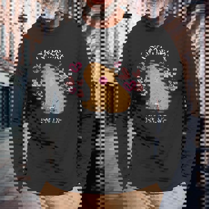 げっ歯類 面白いカピバラ カピバラアート メンズ レディース キッズ 長袖Tシャツ 高齢者への贈り物