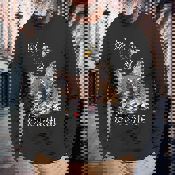 チワワ ロングヘア チワワ ロングヘア 子犬 犬好き 長袖Tシャツ 高齢者への贈り物