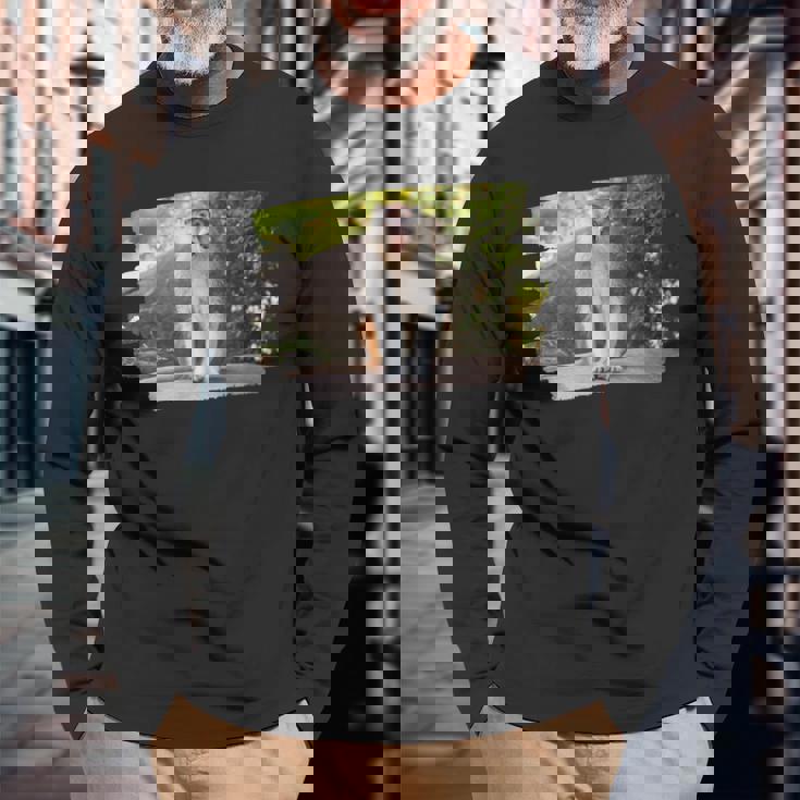 パタス・モンキー 長袖Tシャツ 高齢者への贈り物