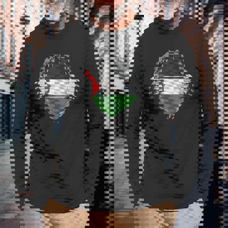 パレスチナシャツ パレスチナ国旗 アラビアのルーツ 遺産 Dna 長袖Tシャツ 高齢者への贈り物