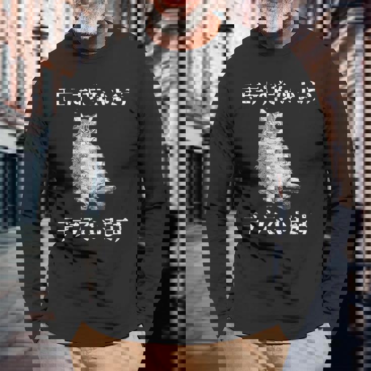猫 モテるデブ 面白いtシャツ 文字入り メンズ おもしろ 面白い 服 オリジナル おもしろグッズ 文字 長袖Tシャツ 高齢者への贈り物