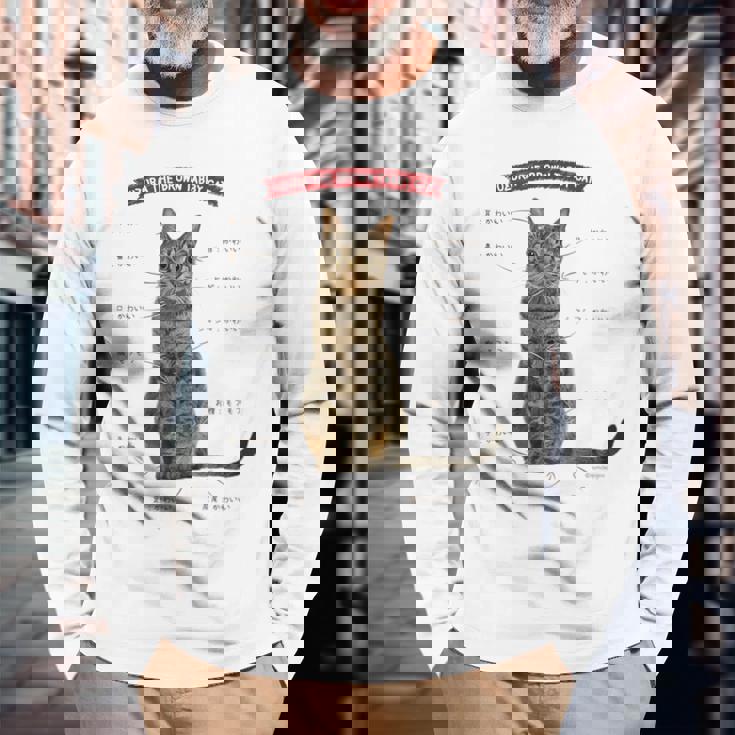 キジトラねこ、うずら 猫 キジトラ猫 鶉 かわいい Cat （ホワイト） 長袖Tシャツ 高齢者への贈り物