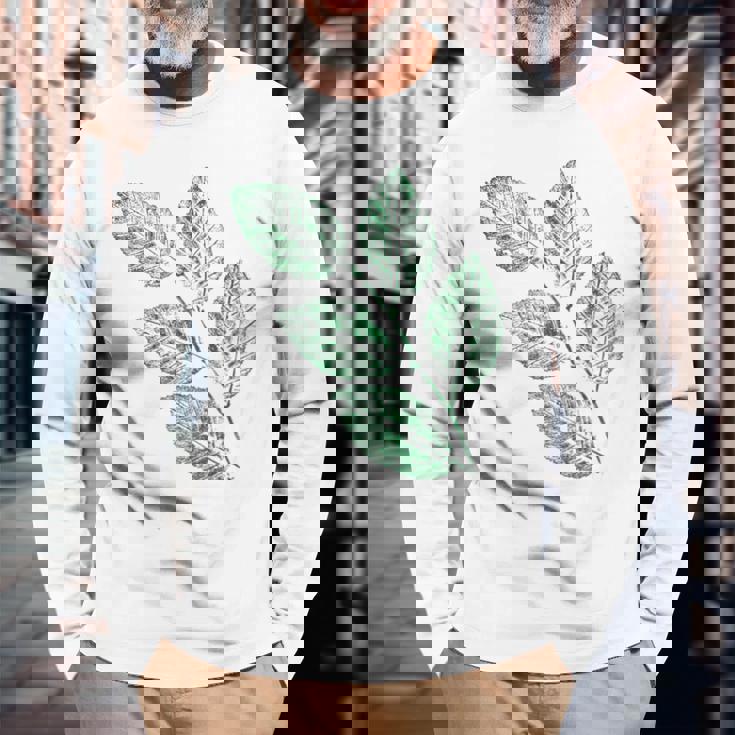 ブナの葉 植物 自然と森林 木のグラフィックス 長袖Tシャツ 高齢者への贈り物