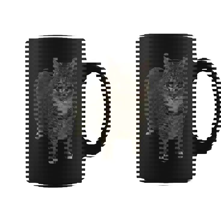 Oiia Oiia スピニングキャットミーム コーヒーマグ