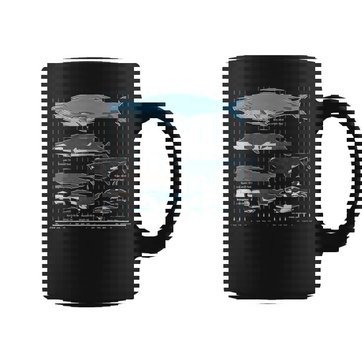 クジラの種類 コーヒーマグ
