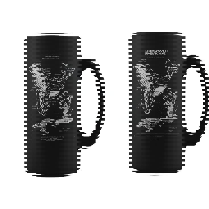 ザトウクジラの解剖学アパレルクジラ航海 コーヒーマグ