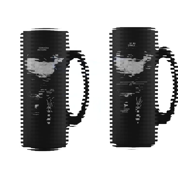 マッコウクジラの解剖学 海洋生物学者 コーヒーマグ