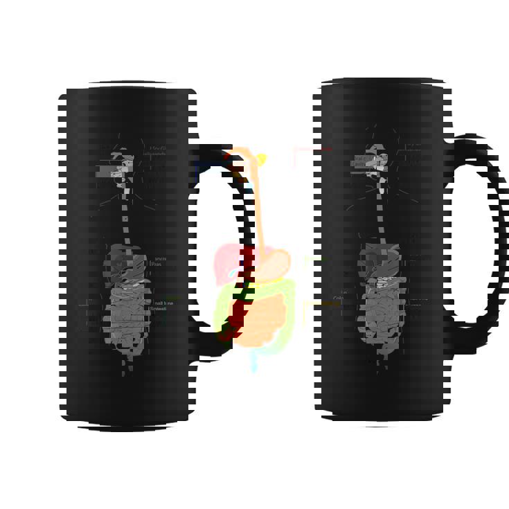 人体消化器系消化管の解剖学 コーヒーマグ