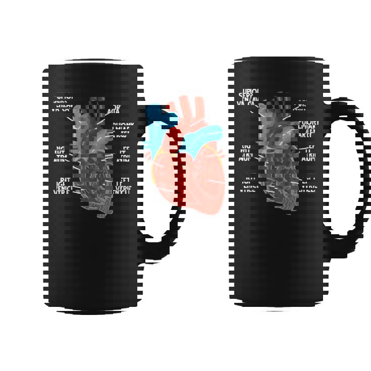 心臓解剖学教育 循環器学 コーヒーマグ