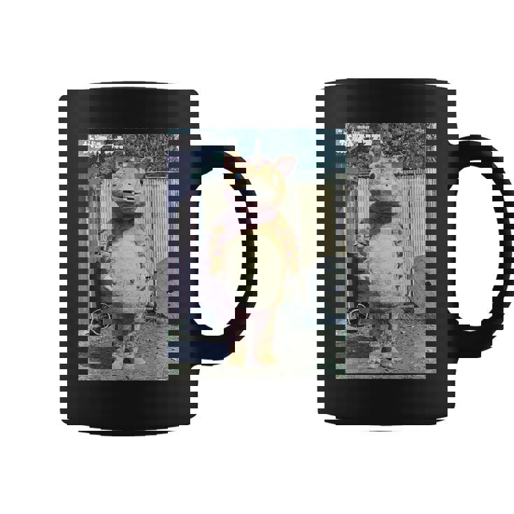 快獣ブースカシリーズ リアルスチール カラー コーヒーマグ