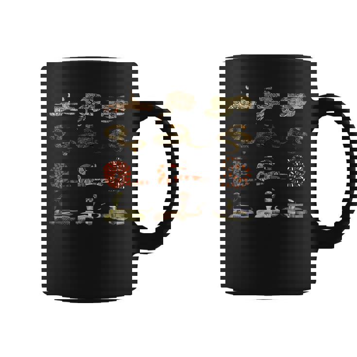 様々な種類の蛇 男の子 女の子 教育用ヘビ コーヒーマグ