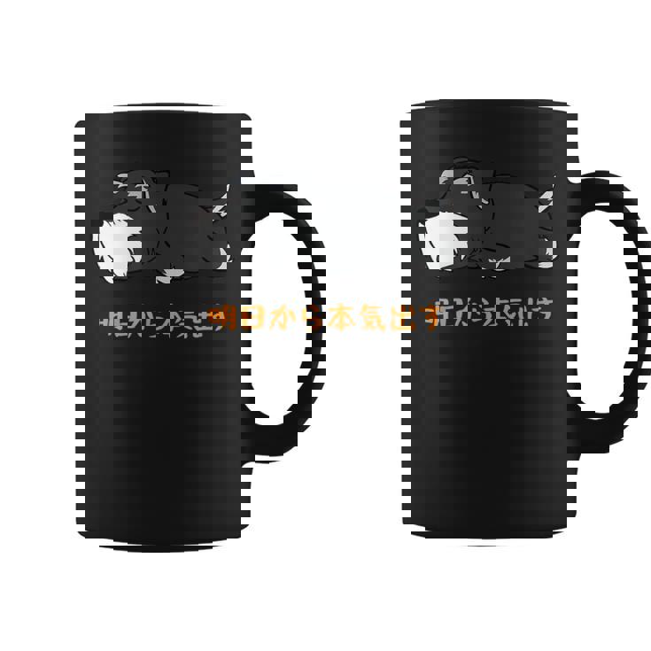 犬 おもしろ 明日から本気出すから 可愛い シュナウザー ミニチュアシュナウザー コーヒーマグ