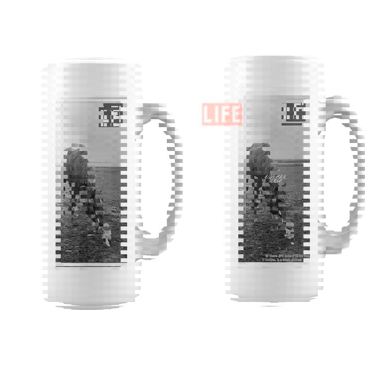 Life Picture Collection 馬と猫（1） コーヒーマグ