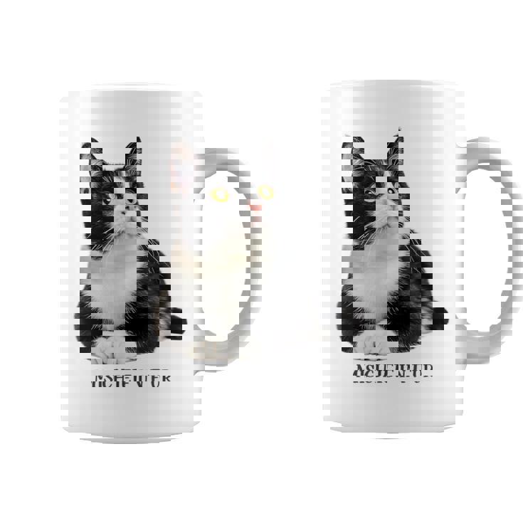 Mischief In Fur 猫写真 ハチワレ猫 黒白猫 猫好き ネタ 猫しもべ 猫飼い 猫依存症 コーヒーマグ