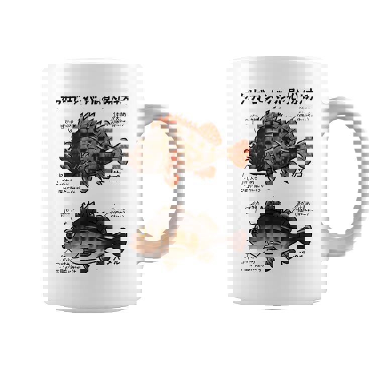 カサゴとメバルの見分け方 コーヒーマグ