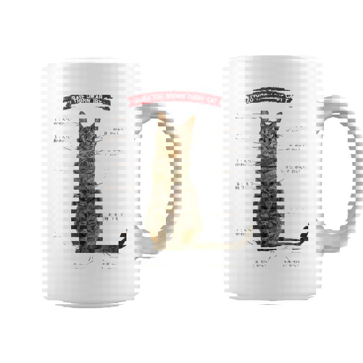 キジトラねこ、うずら 猫 キジトラ猫 鶉 かわいい Cat （ホワイト） コーヒーマグ