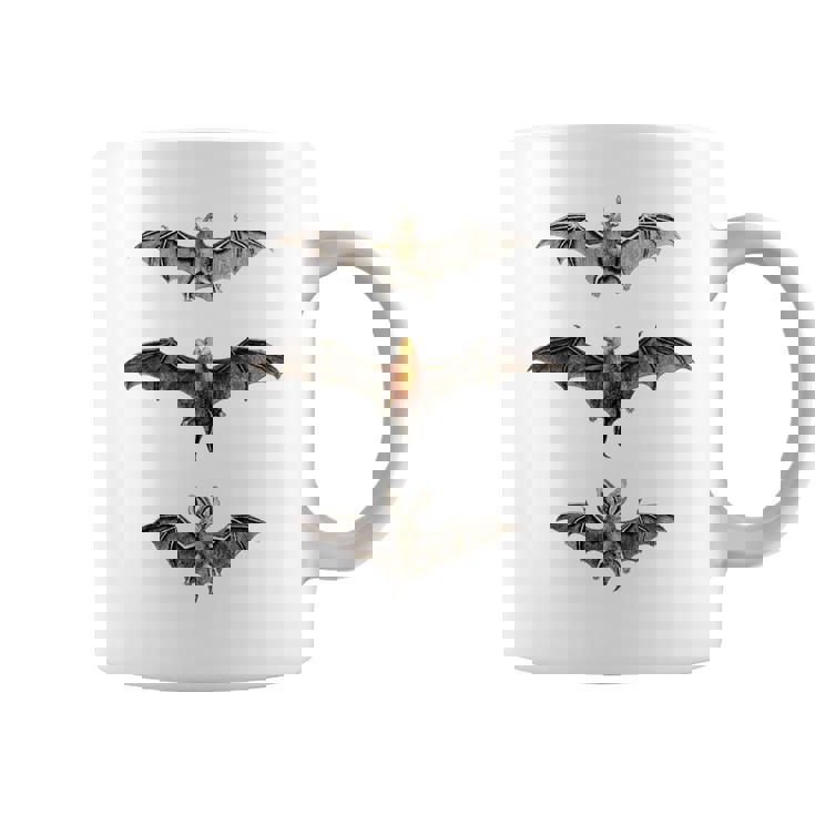 コウモリ 科学イラスト 描画 生物学 アート ハロウィン コーヒーマグ