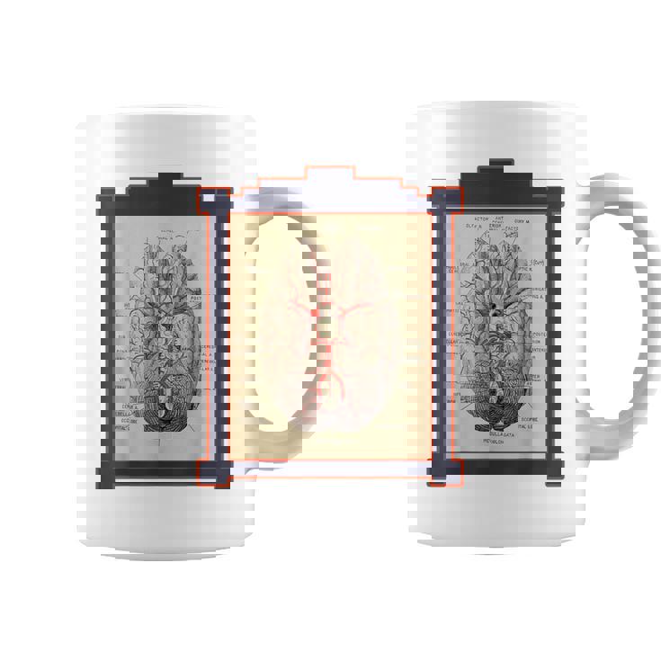 ヴィンテージ 人間の脳 解剖図 コーヒーマグ
