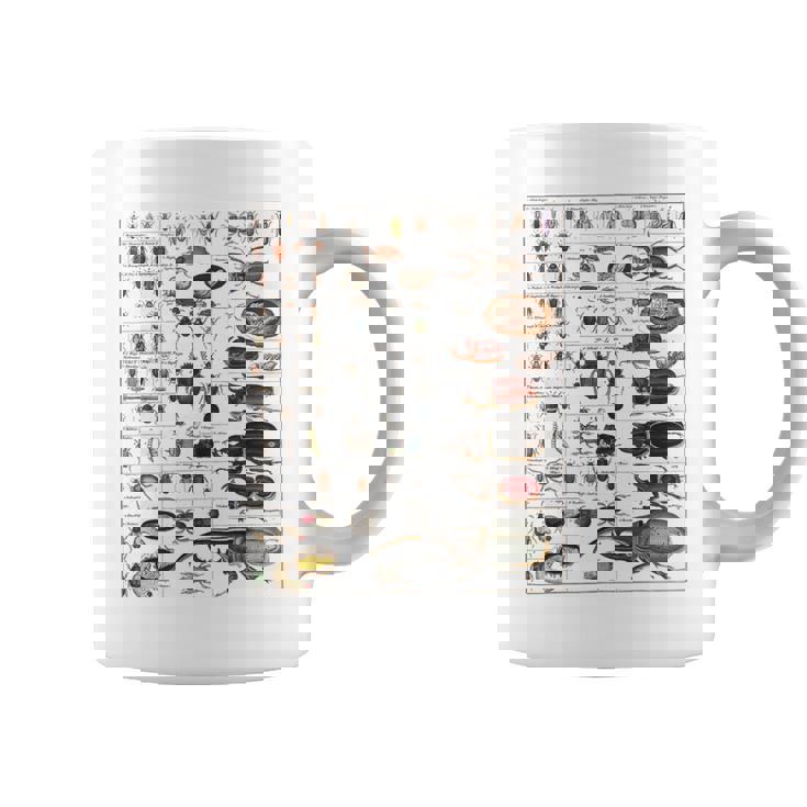 昆虫の種類 ビンテージバグ同定科学 コーヒーマグ