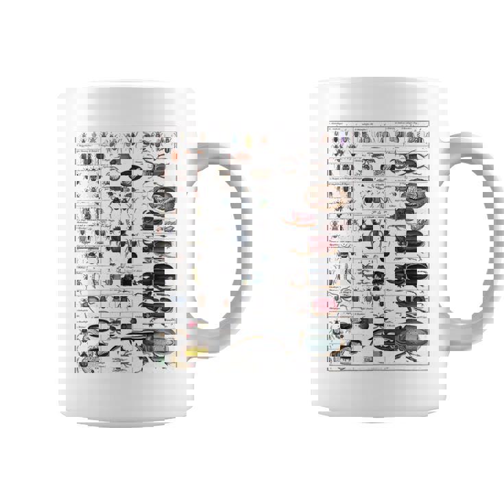 昆虫コレクション 種 虫 ビンテージ チャート 昆虫学 コーヒーマグ