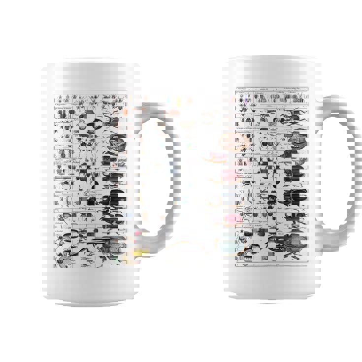 昆虫コレクション種ヴィンテージバグチャート昆虫学 コーヒーマグ