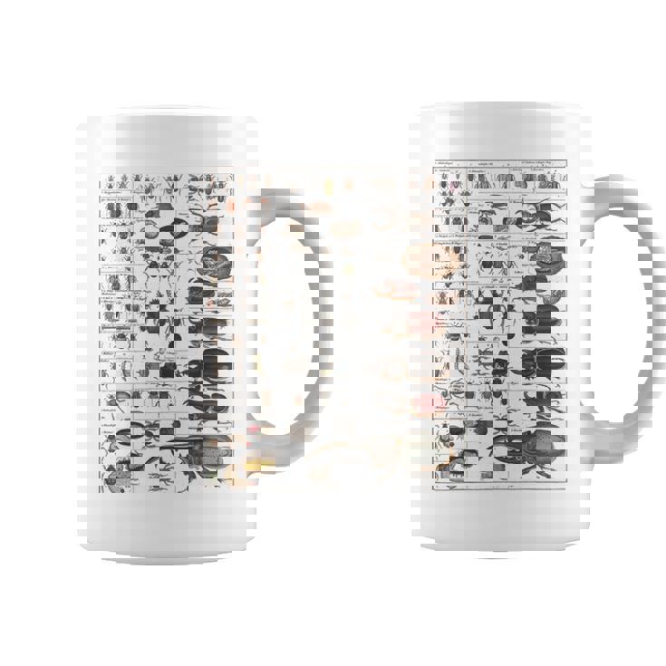 昆虫学者 昆虫学 昆虫 虫の種類 コーヒーマグ