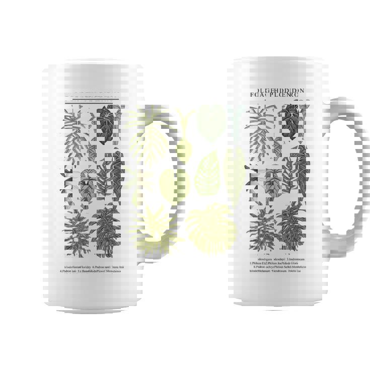 葉 フィロデンドロン サトイモ 植物 恋人 ギフト アンスリウム コーヒーマグ