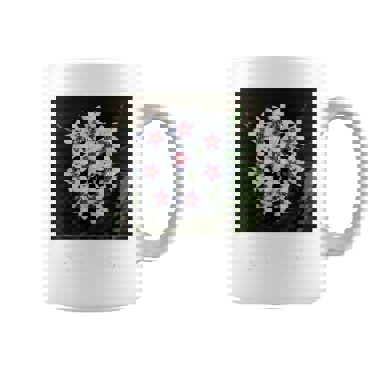 面白いhoya Flowers 多肉植物 ガーデニング 植物 コーヒーマグ