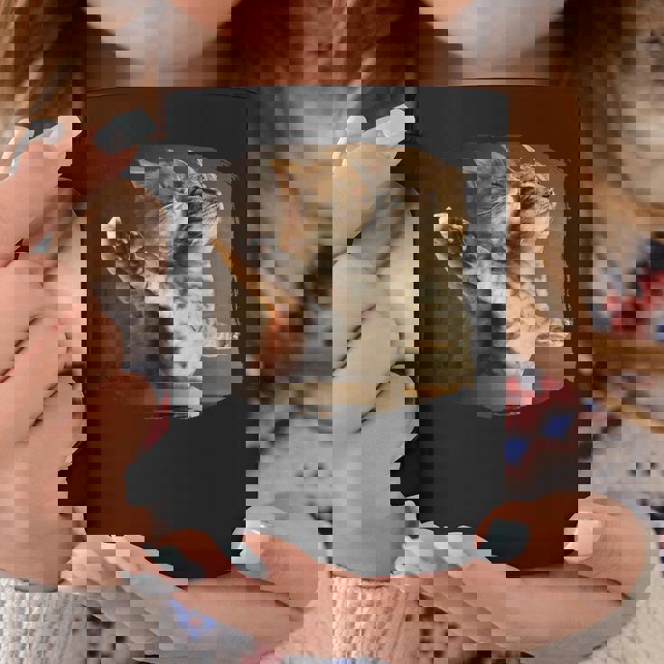 TitaniCムービーにインスパイアされた面白い猫好きのミーム。 コーヒーマグ 面白い贈り物