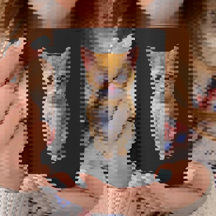 エルガト ミーム 悲しい泣き猫 マンチキン キティ ミーム トレンディ コーヒーマグ 面白い贈り物