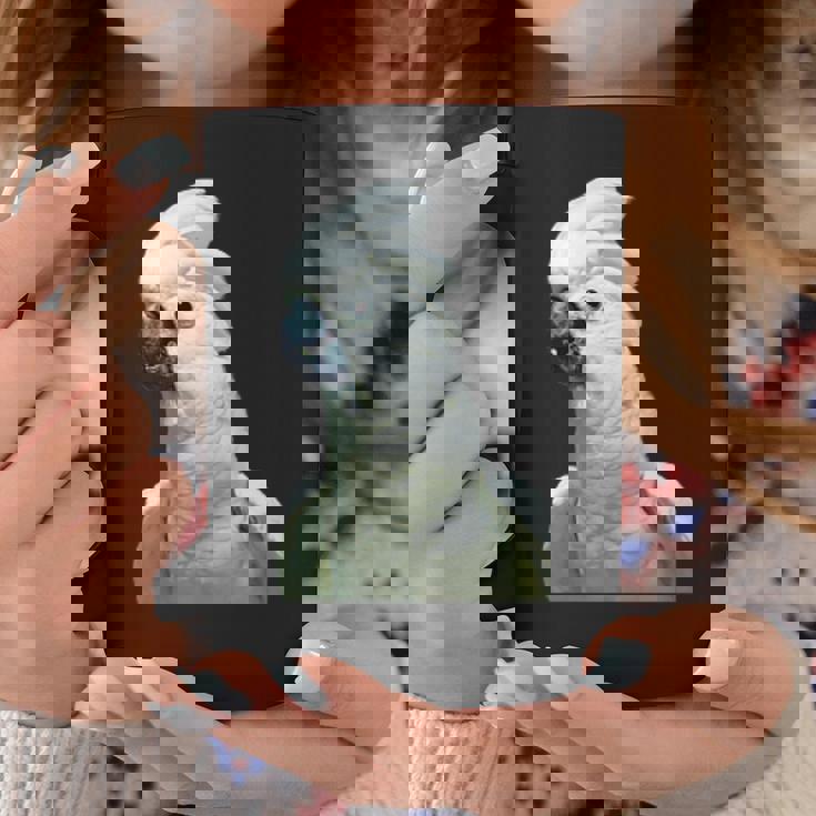 タイハクオウム 鳥 オウム コーヒーマグ 面白い贈り物