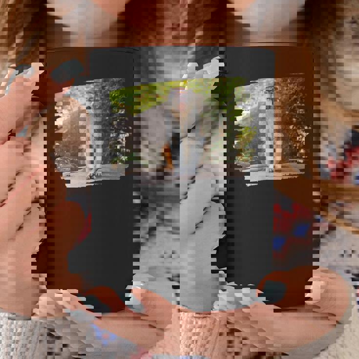 パタス・モンキー コーヒーマグ 面白い贈り物