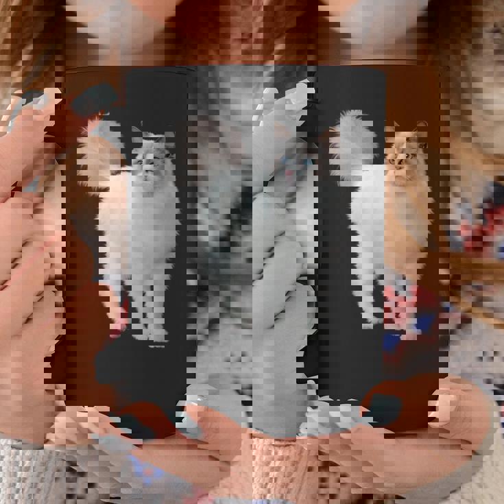 ラグドール 猫のポートレート ラグドール キャットヘッド ラグドール 猫の顔 コーヒーマグ 面白い贈り物