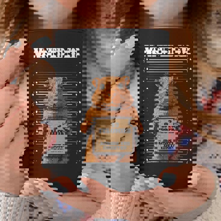 全国指名手配 重犯罪93件ハムスター コーヒーマグ 面白い贈り物