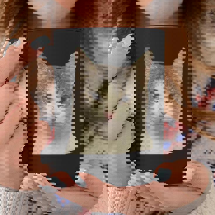 怒っている猫 リアル ミーム ウイルス インターネット コーヒーマグ 面白い贈り物